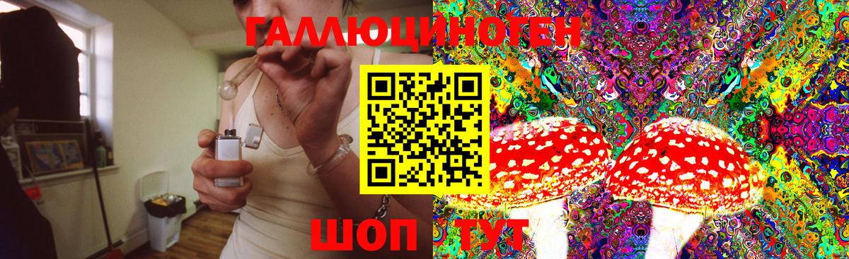Псилоцибиновые грибы мицелий Южноуральск
