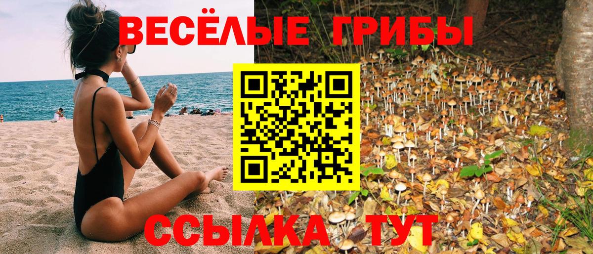 купить  сайты  Вход с VPN  Псилоцибиновые грибы прущие грибы  Южноуральск  Галлюциногенные грибы GOLDEN TEACHER 